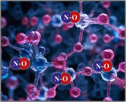 Nitric Oxide N-O molecular structure visualization showing how Nitric Boost Ultra supports nitric oxide production